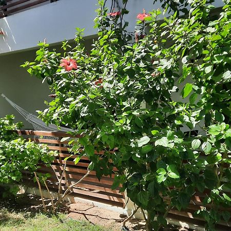 Casa Betti Villa Jijoca de Jericoacoara Esterno foto
