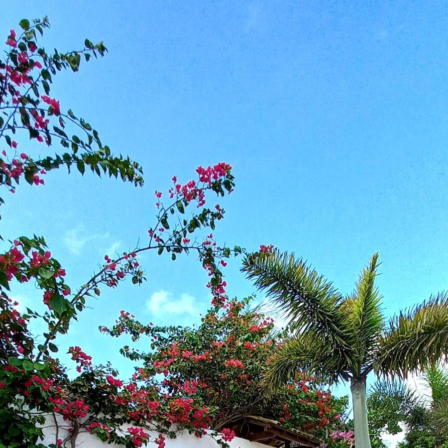 Casa Betti Villa Jijoca de Jericoacoara Esterno foto