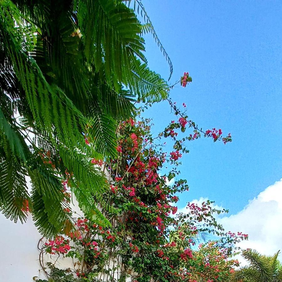 Casa Betti Villa Jijoca de Jericoacoara Esterno foto