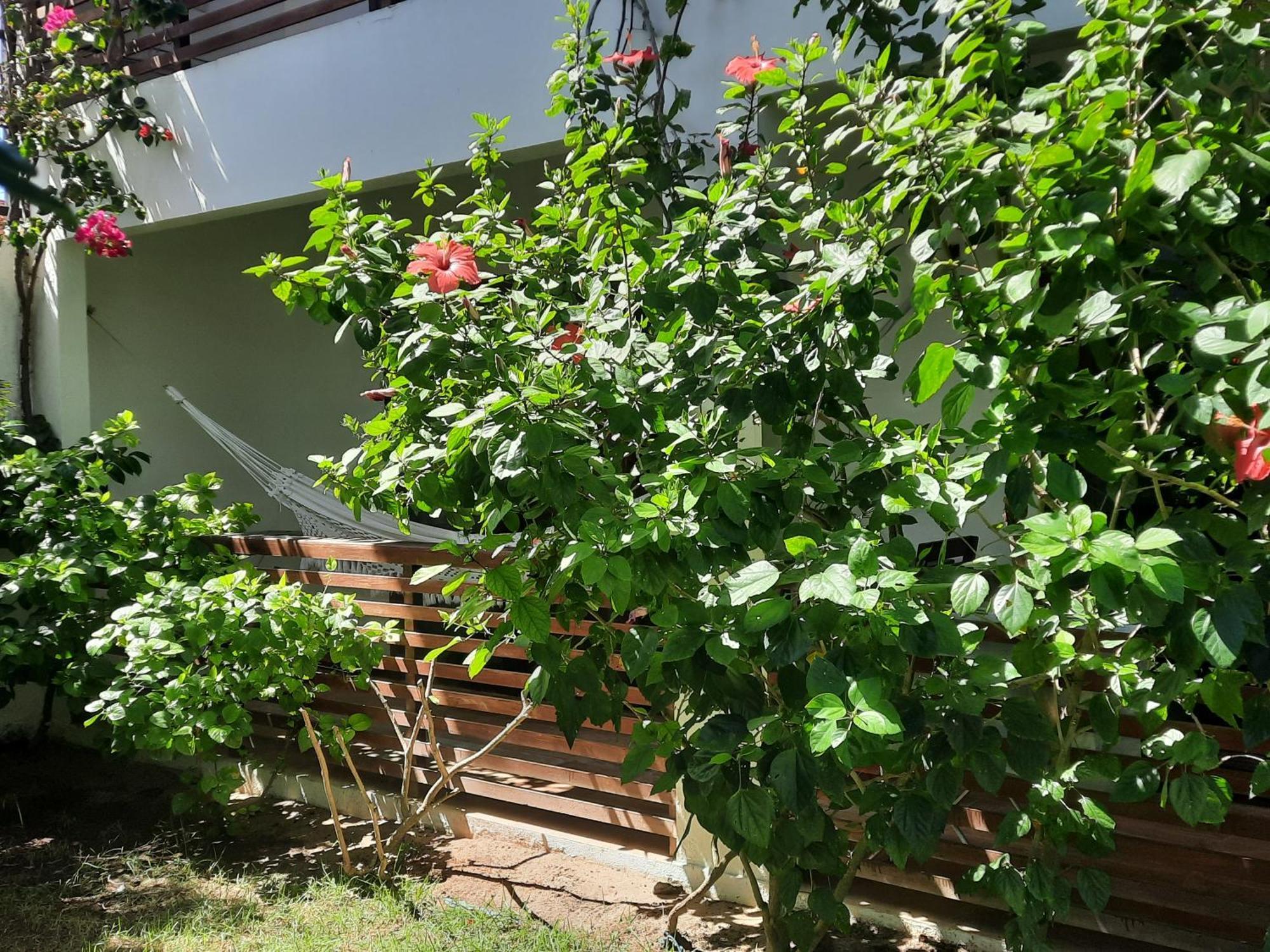 Casa Betti Villa Jijoca de Jericoacoara Esterno foto